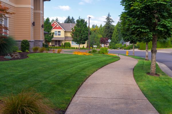 Cost of Sidewalk Patching in Fairfield